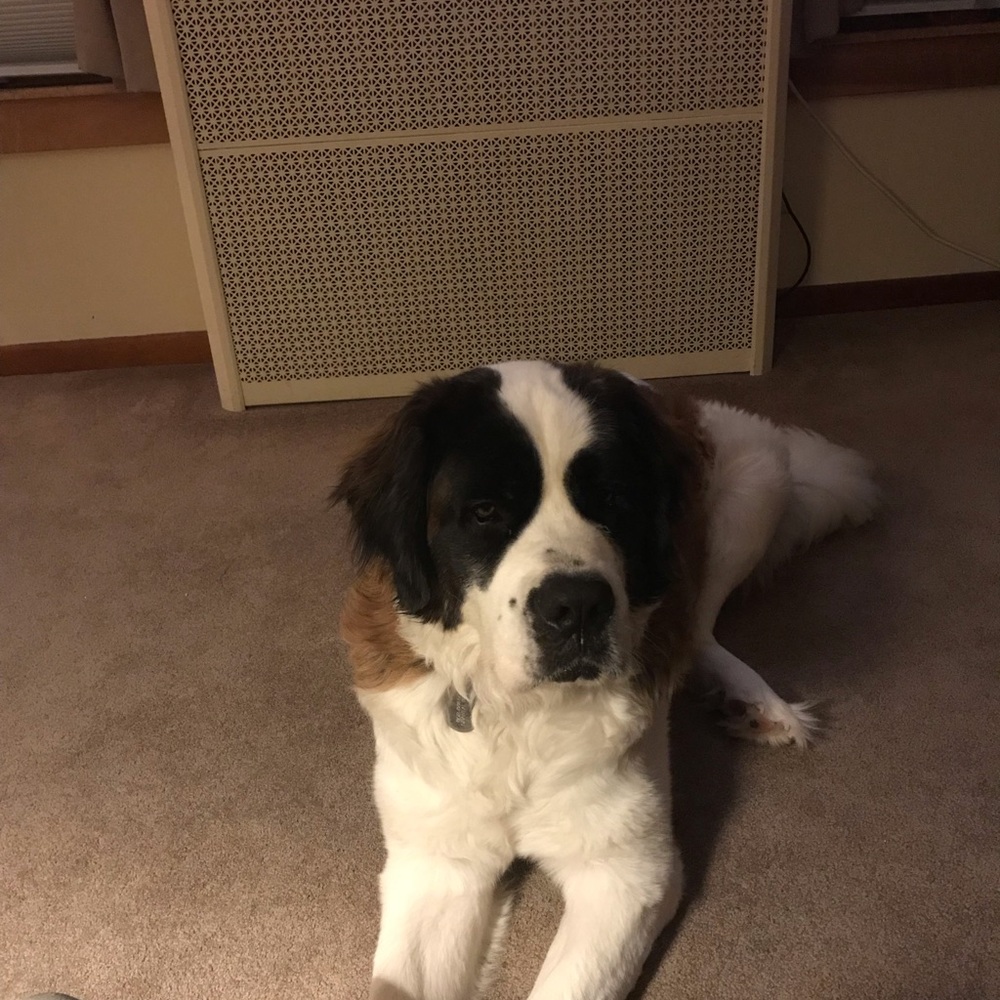 Meet your Posher, Chantal